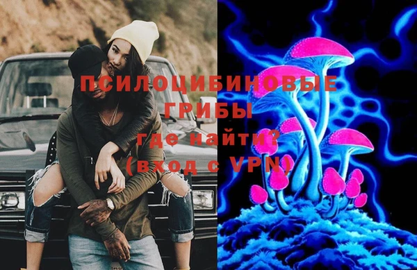 дживик Зеленодольск
