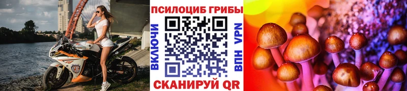 Галлюциногенные грибы ЛСД  MEGA зеркало  shop формула  Сретенск 